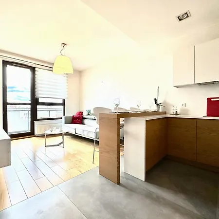 Apartment Podwale 2 - Self Check-in 20h ~parking & Lift